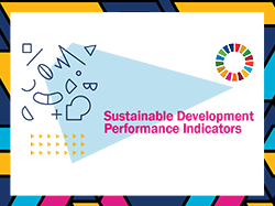 Sustainable Development Performance Indicators for SSE: How to Measure Progress Toward the SDGs